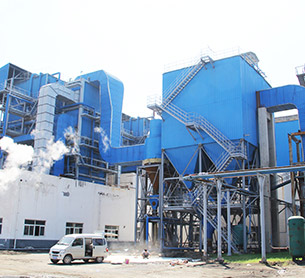 30t/h Circulating Fluidiz