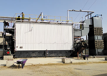 5 ton/6 ton coal/biomass double drum chain grate boiler