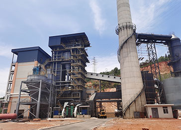 30 ton/35 ton Coal/Biomass CFB Boiler 