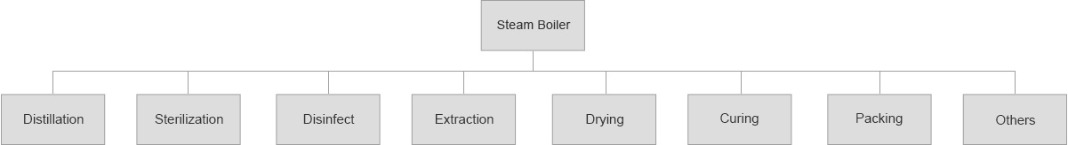 Uses of Boiler & Steam in Food & Beverage Industry