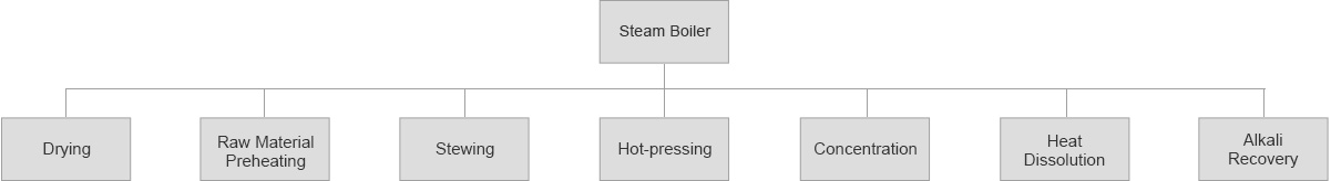Uses of Boiler & Steam in Paper Processing Industry