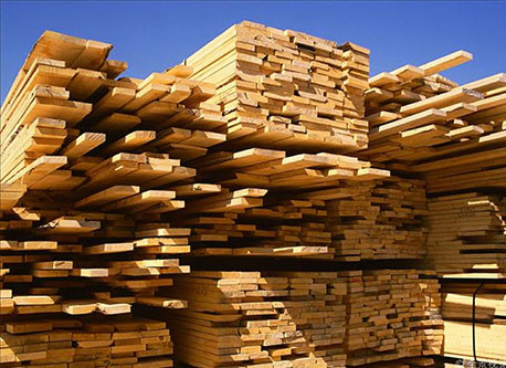 Wood Processing Industry