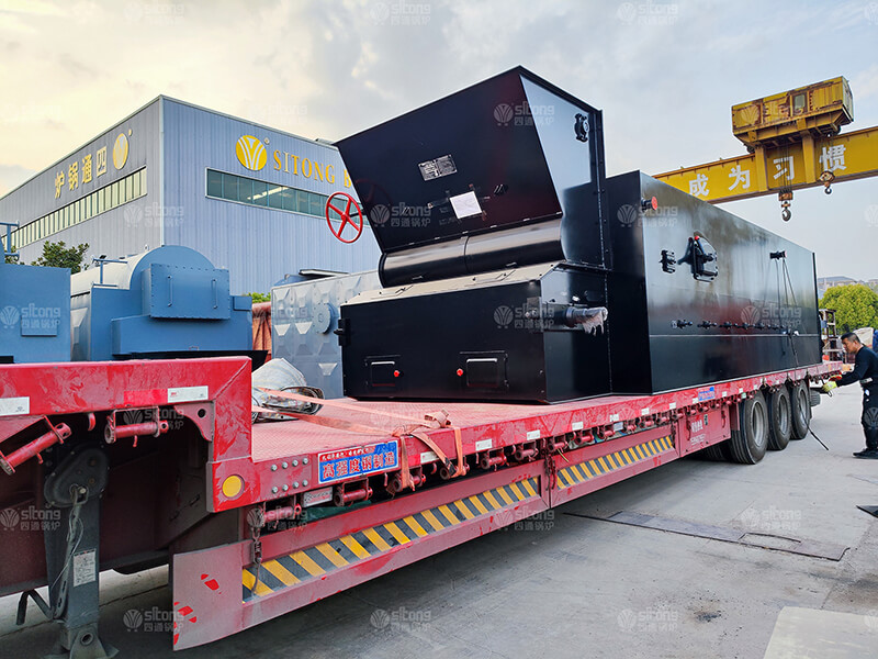 10 ton Coal Fired Steam Boiler Used for Potato Products Company in the Philippines 