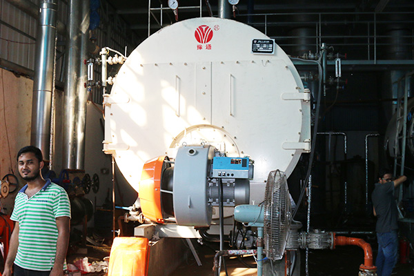 5t/h WNS Series Boiler Installed in Indonesia