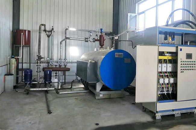 2 ton WDR Series Electric Boiler in Ethiopia