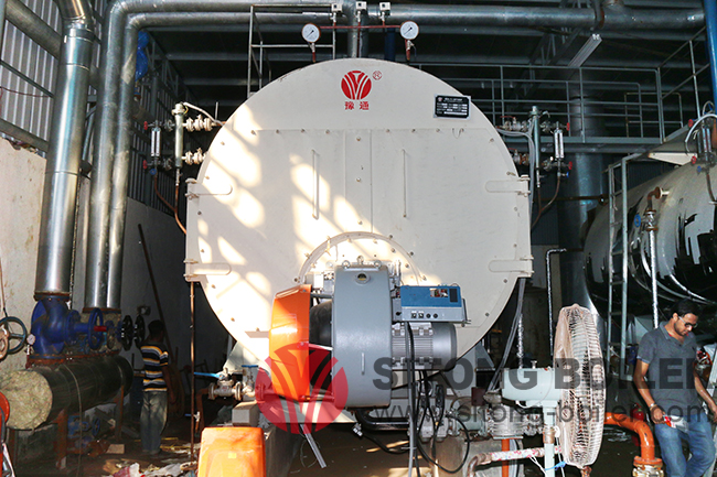 5t/h WNS Series Boiler Installed in Indonesia