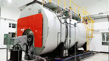 WNS12 low nitrogen condensing boiler