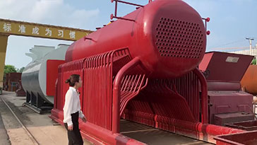 Sitong DZL Series Coal Biomass Steam