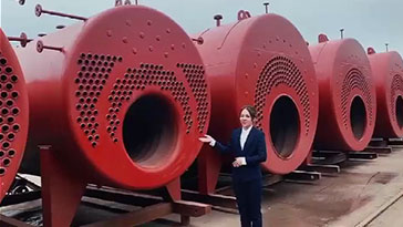 WNS Oil Gas Fire Tube Boiler Structure