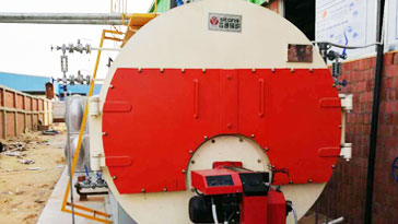 4t WNS Boiler For Egypt