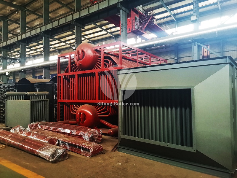 10 ton Coal Fired Steam Boiler Used for Tobacco Products Company in the Philippines 